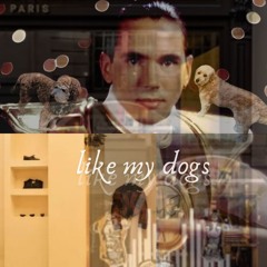like my dogs!!! (prod waynn)