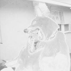 ANIMALS EDIT