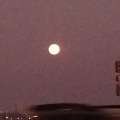 Hollow, like the days we shared (ft. Marcelo Monteverde)