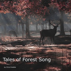 Tales Of Forest Song