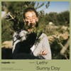 Lethr - Sunny Day (majestic color) Lethr - Sunny Day (majestic color)