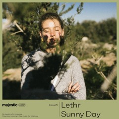 Lethr - Sunny Day (majestic color)