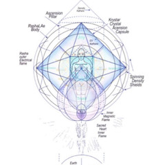 Shadow Healing Morphogenetic Linguistic Template Reprogramming Power Grid