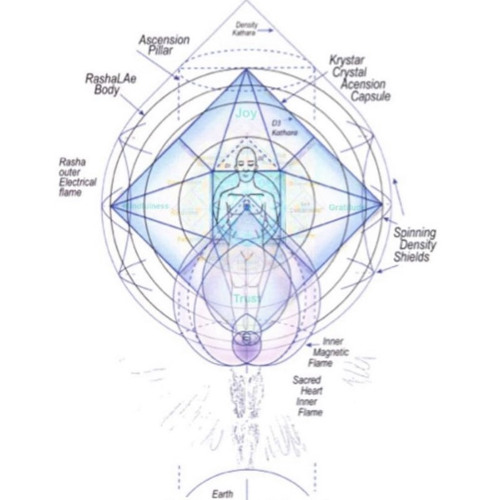 Stream Shadow Healing Morphogenetic Linguistic Template Reprogramming ...