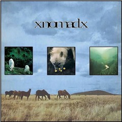 xNOMADx - WILD PEACE