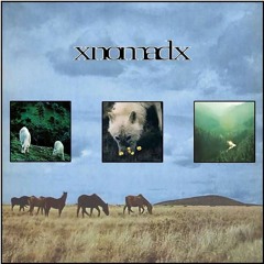 xNOMADx - NOW