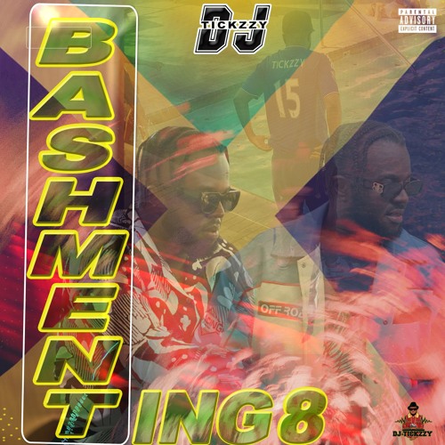 BASHMENT TING MIX VOL.8 2024 FULL MIX @DJTICKZZY