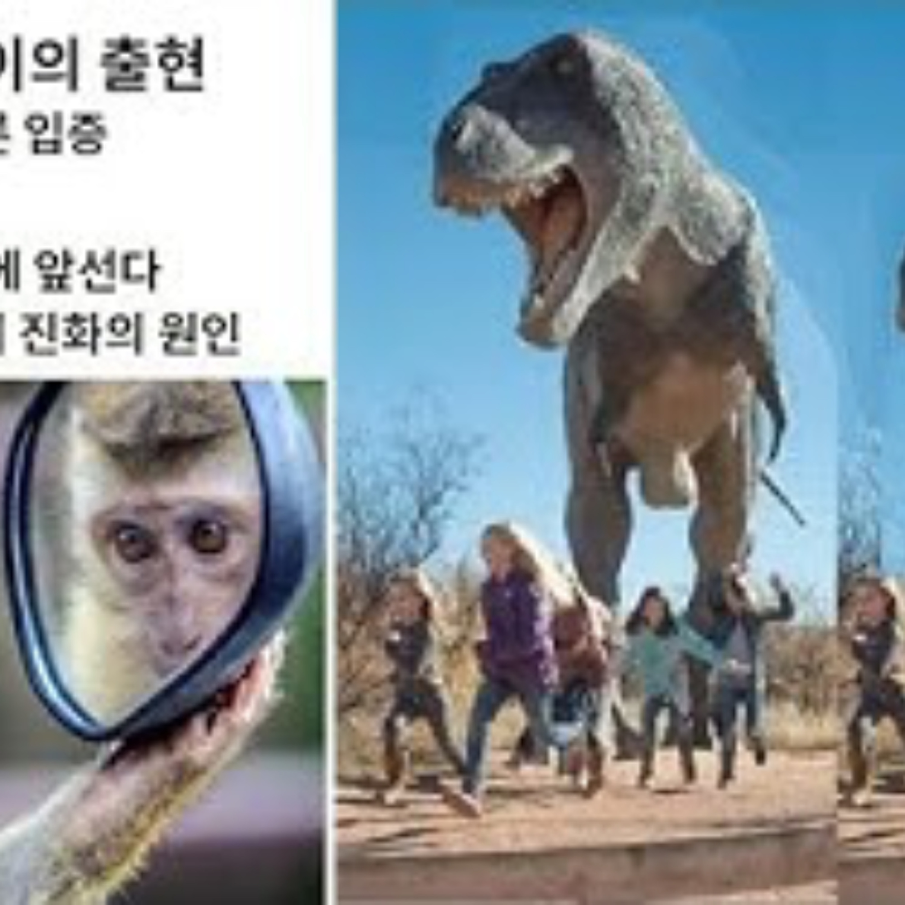 2025-09-14 구조론 89회 도구원숭이의 출현