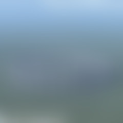 South Padre Gangster