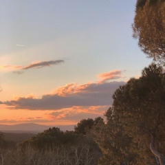 سورة الكهف كاملة للقارئ اسلام صبحي 🍂