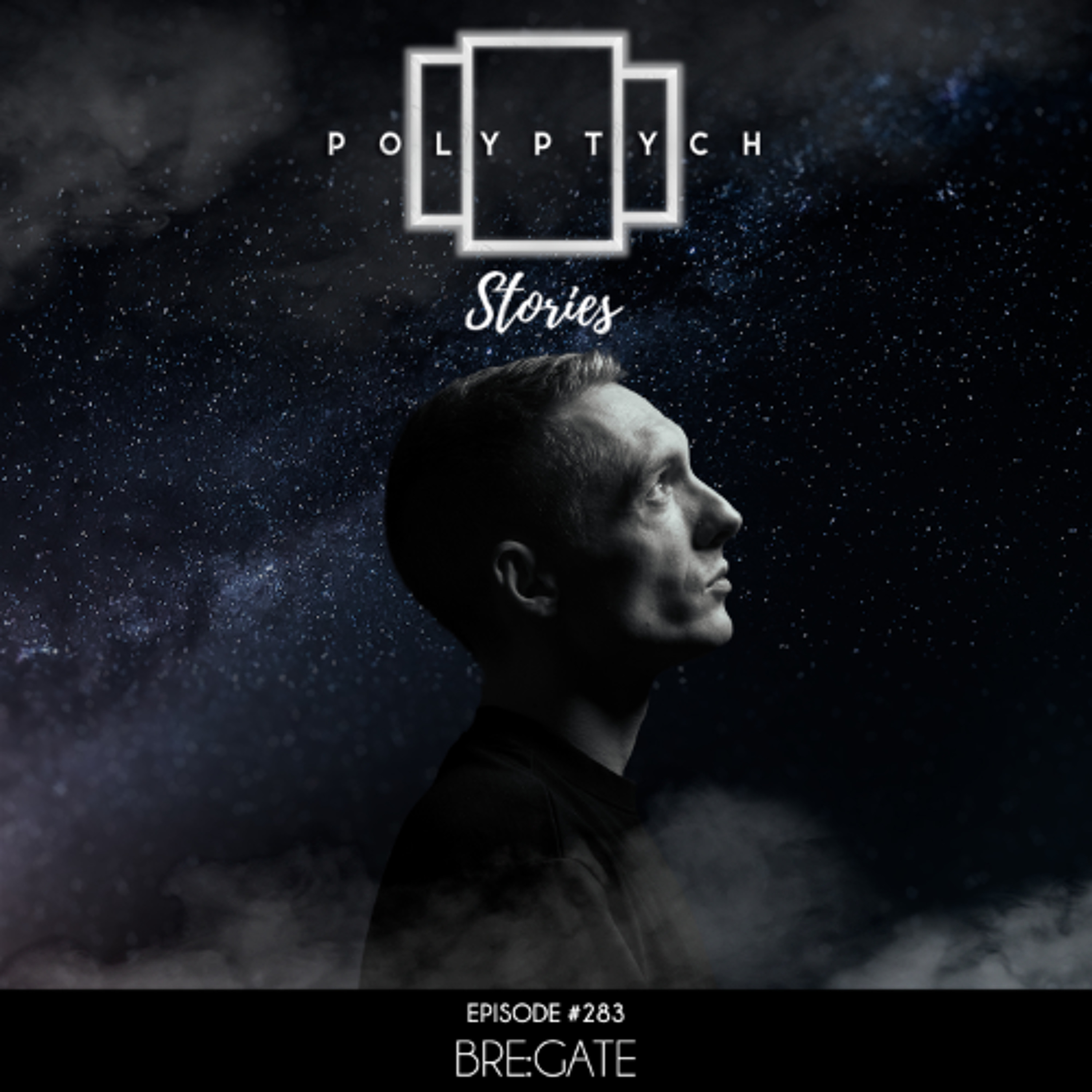 Artwork for Polyptych Stories