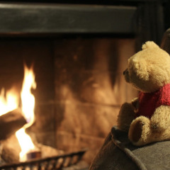 Teddy by the Fireplace