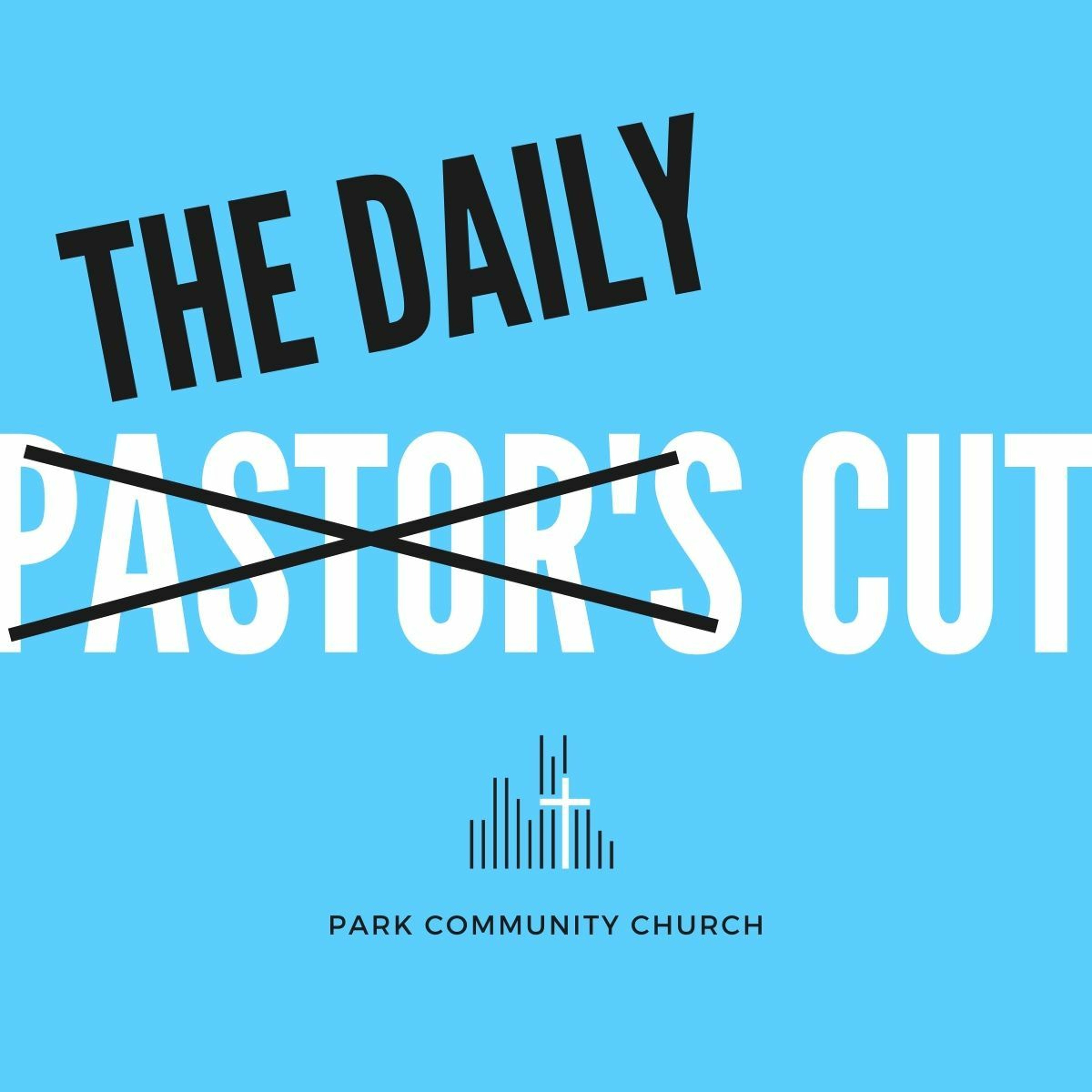 The Daily Cut
