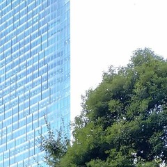 tsurai (okudakun)