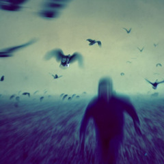 El Buho Y La Escondida