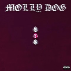 MOLLY DOG