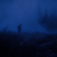 suffershade & Coste - desolate (Slowed & Reverb)