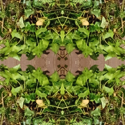 tomfoolish - feed the weeds