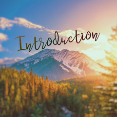 Introduction