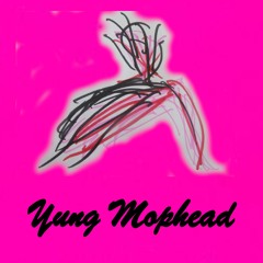 Dicks Of Many Flavours