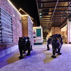 Carnaval Campos do Jordão 2024