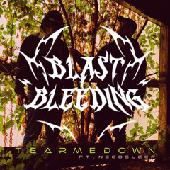 Tear Me Down (ft. NeedSleep)