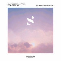 Sam Wiseman, Karim, Idun Nicoline - What We Never Had