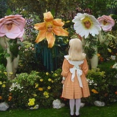 wonderland