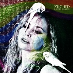 Zilched - Earthly Delights