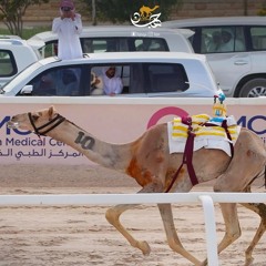 مبعد الهقوه