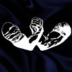 Spinreal Releases