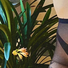 party so private its only you