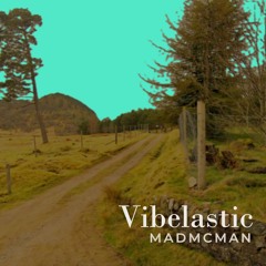 Vibelastic