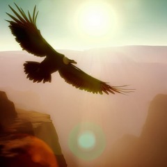 Condor's first flight over the Grand Canyon