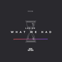 LUXISH - What We Had