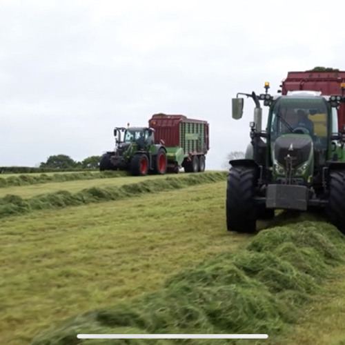 all folk'd up maniac 2000