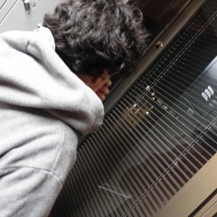 ૮₍_   ̫ _ ₎ა ♡ #UrMyMovieStar ˙✧˖°📸⋆｡˚ (ikari)