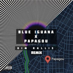 BLUE IGUANA x PAPAGOU | Dim Rallis TikTok Remix