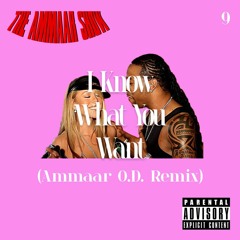 EXPLICIT* I Know What You Want (Ammaar O.D. Remix)