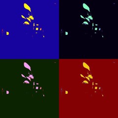 one up by boobie trap