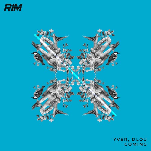 YVER - Roll Out