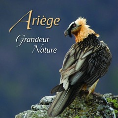 Bande Son Ariege Grandeur Nature - volume 1  - FORET - ALTITUDE - PRINTEMPS