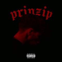Prinzip