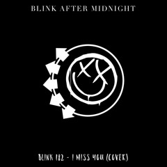 B V 1 2 x BLINK 182 - i miss you (cover)