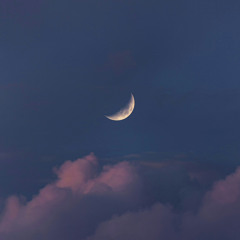 Luca - DreamWorks