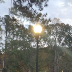 Heir to Woe by Holy Locust