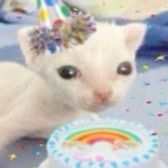 Cat's playlist!!!