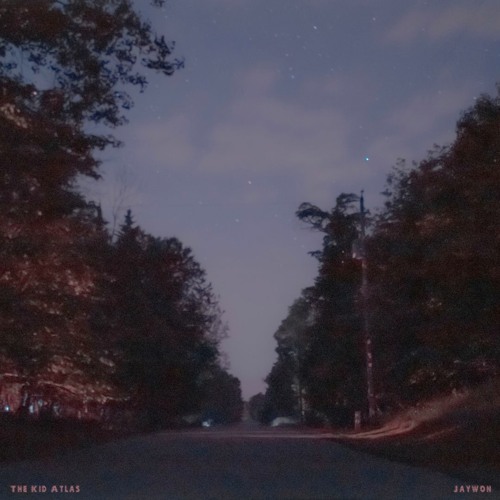 Paranoia (feat. jaywon)