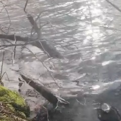 sweet thing - twin peaks cover (lofi edition)