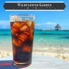 Tropical Night Mirage